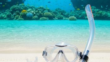 Snorkelset med mask och snorkel på sandstrand